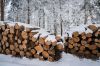Foto: Holzstapel im Schnee